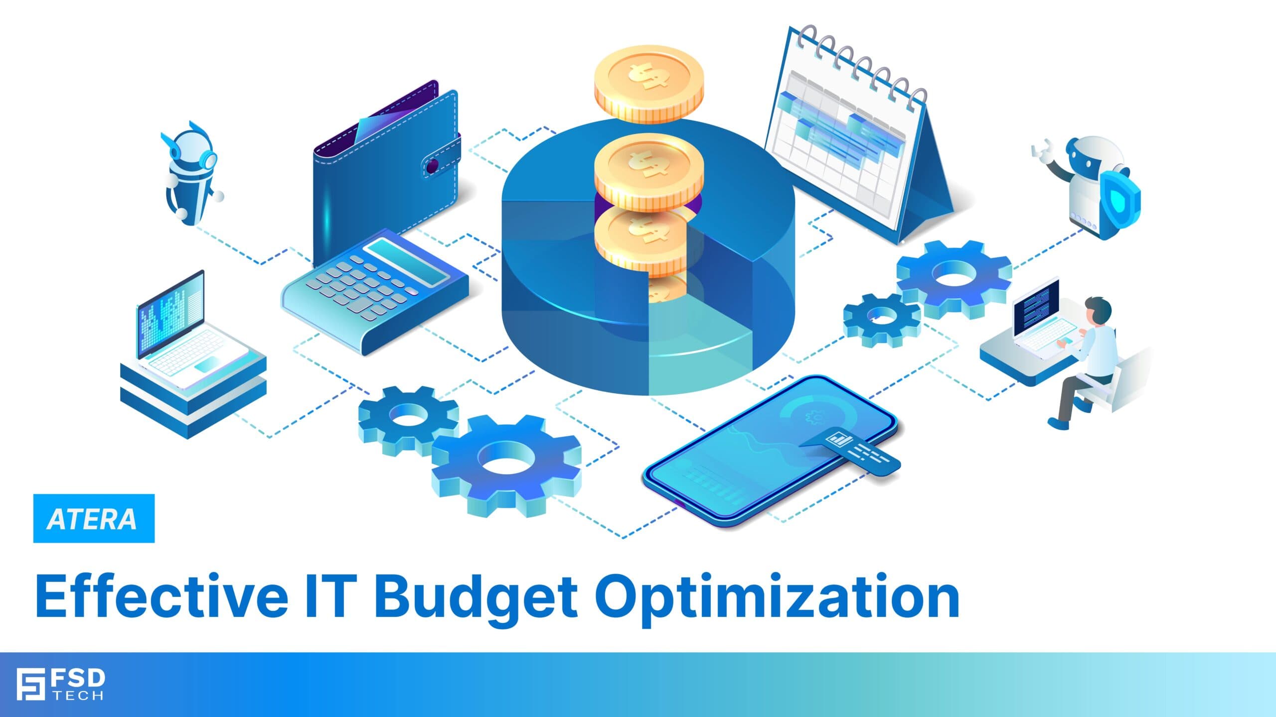 Effective IT Budget Optimization